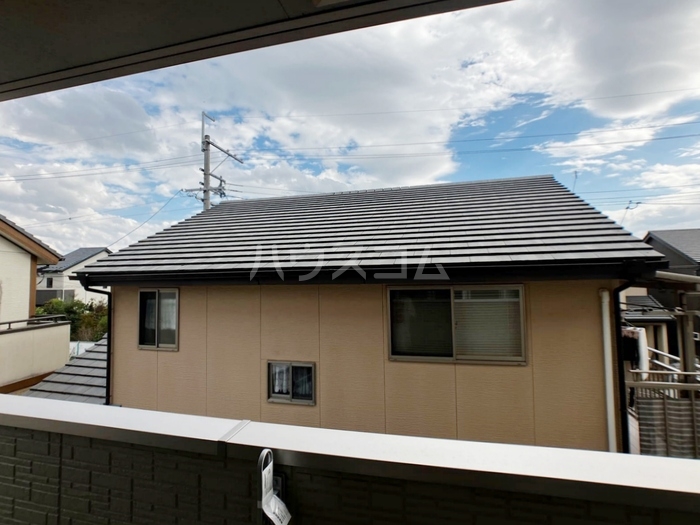 12/25 その他画像