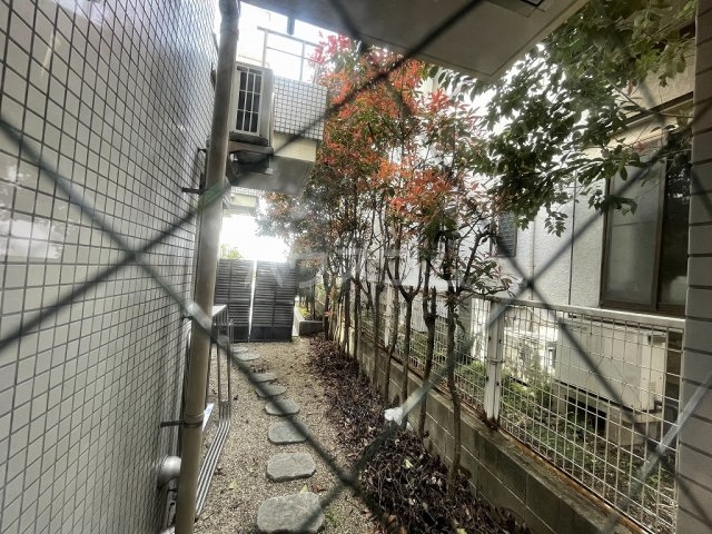 17/25 その他画像