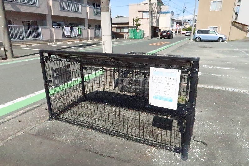 20/30 その他画像