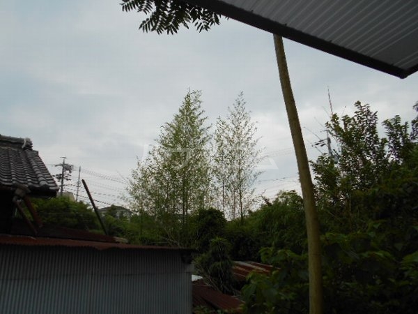 17/28 その他画像