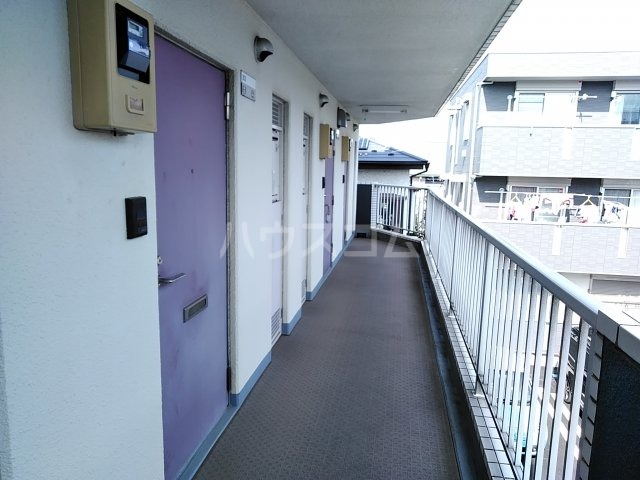 20/30 その他画像