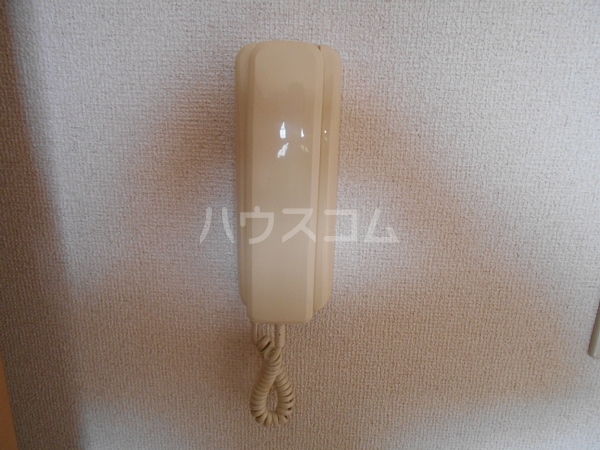 17/25 その他画像