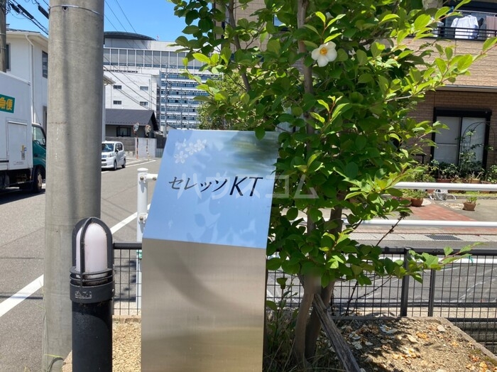 15/20 その他画像