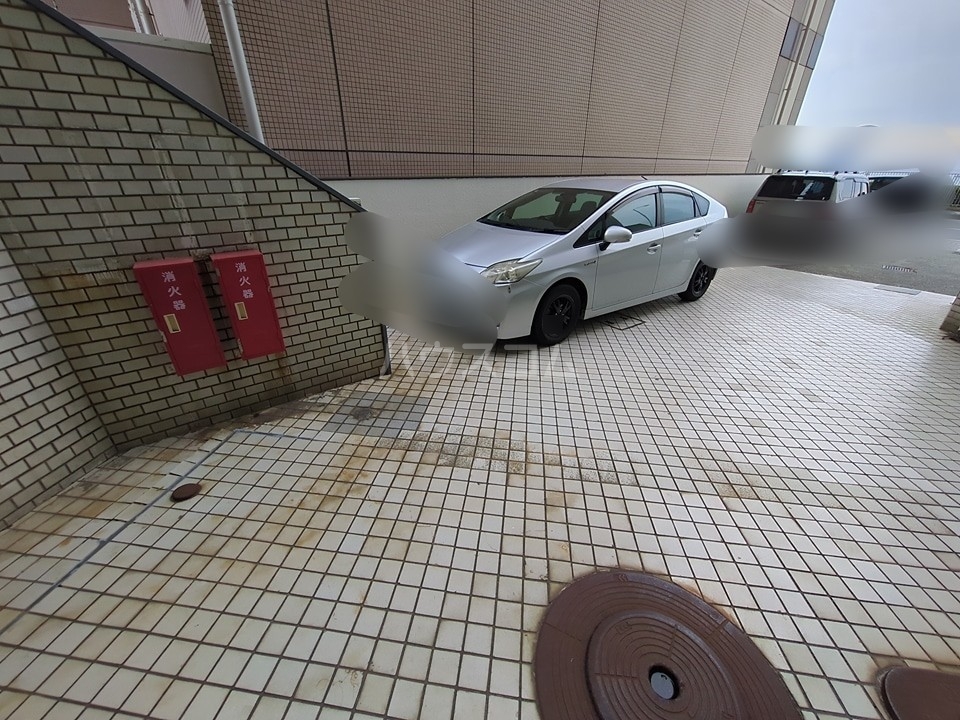 20/30 その他画像