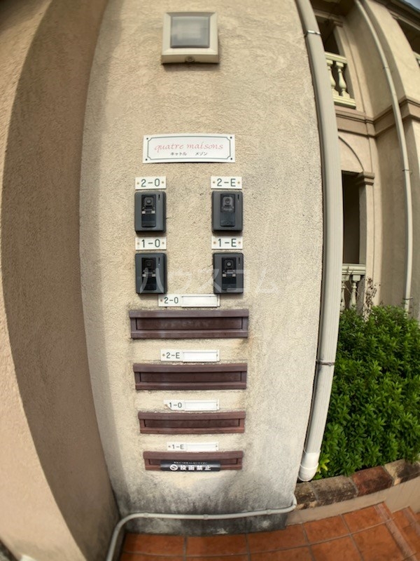 20/30 その他画像