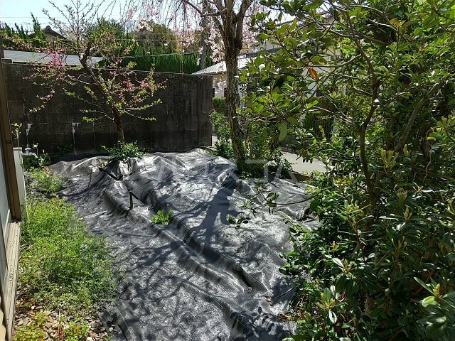 26/30 その他画像