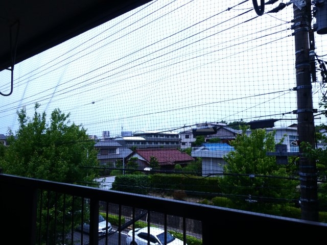 19/30 その他画像