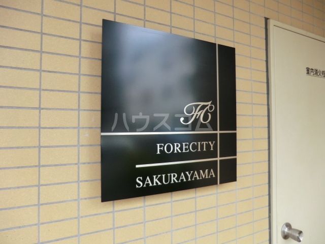 6/15 その他画像