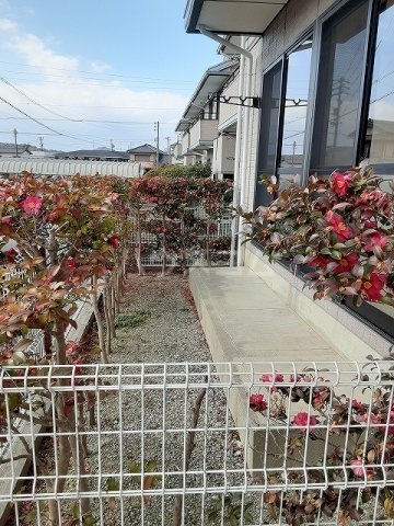 21/30 その他画像