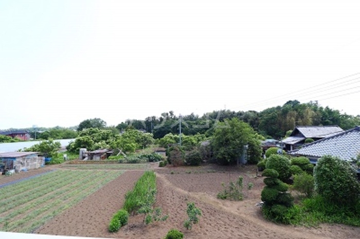 13/22 その他画像