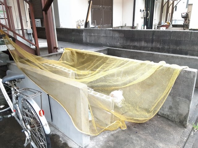 その他共有