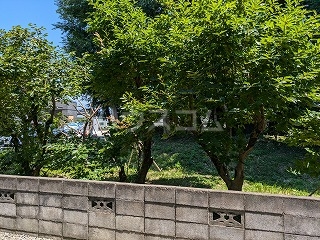 21/29 その他画像