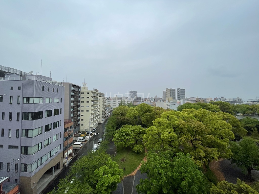 17/29 その他画像