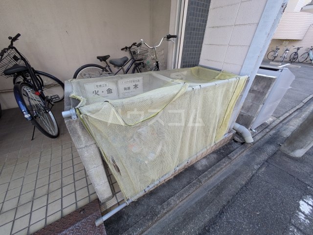 20/30 その他画像