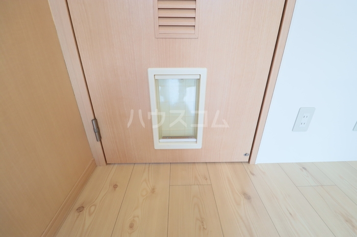 19/25 その他画像