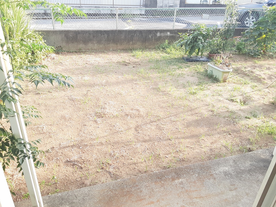 17/25 その他画像