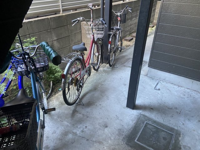 その他画像