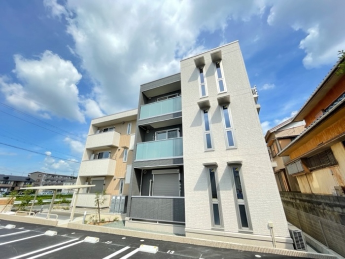 20/30 その他画像