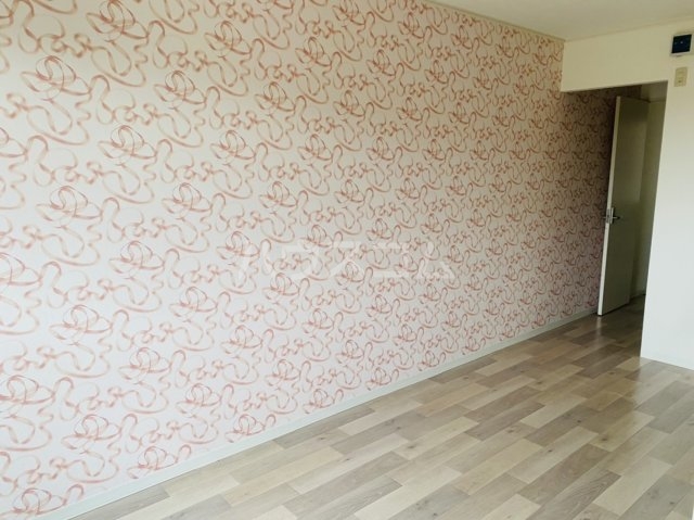 23/25 その他画像