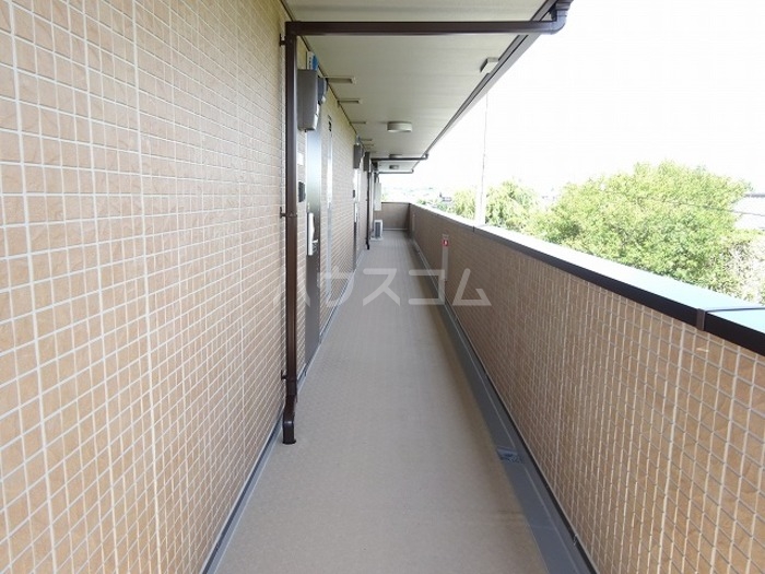 13/19 その他画像