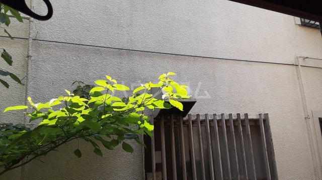 14/19 その他画像