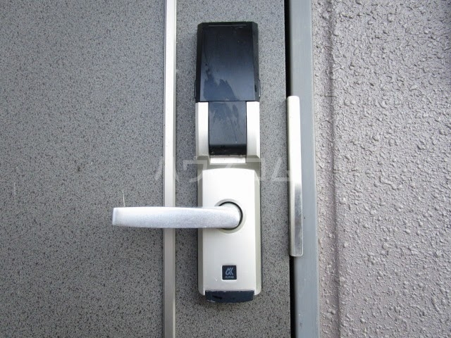 15/19 その他画像