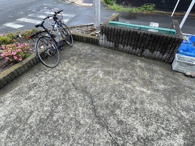 その他画像