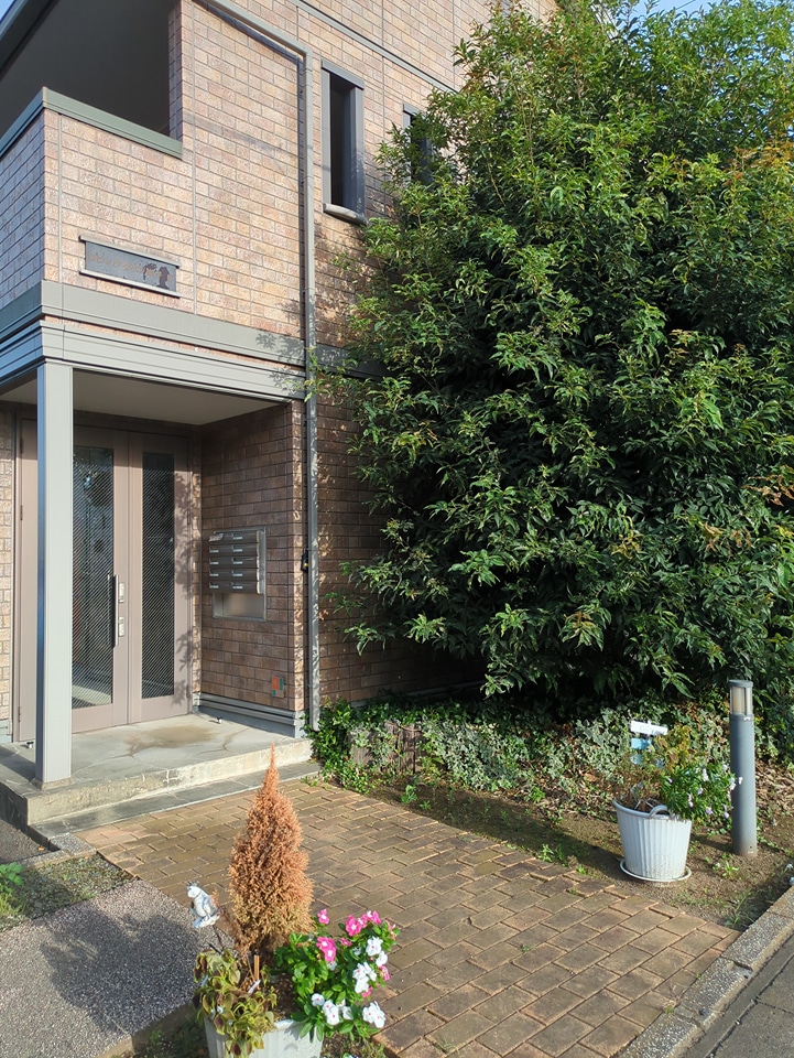 27/30 エントランス