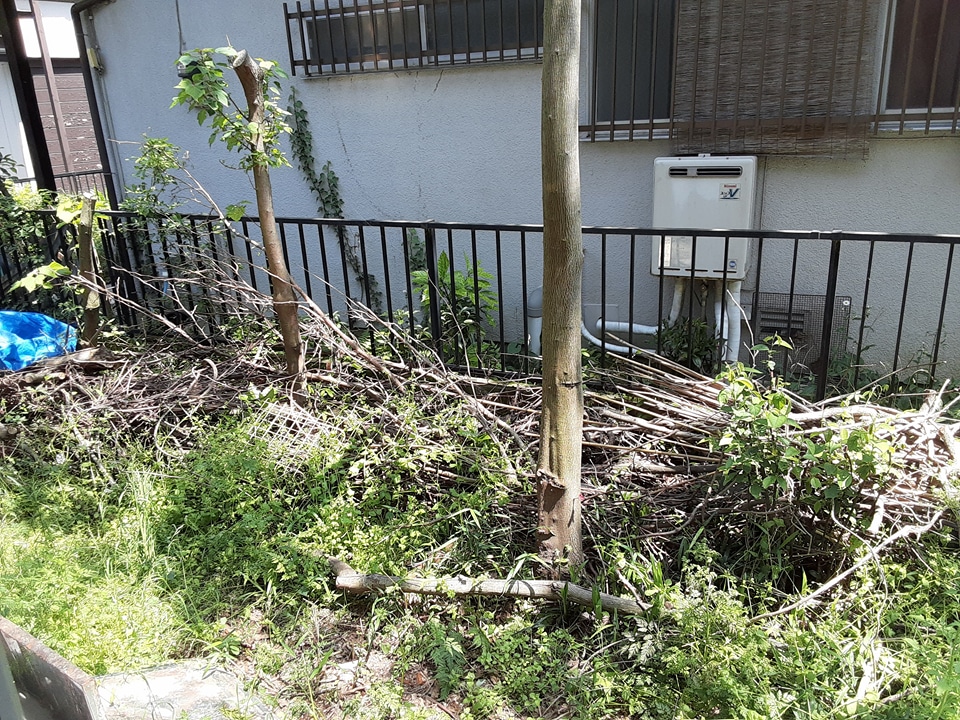 9/14 その他画像