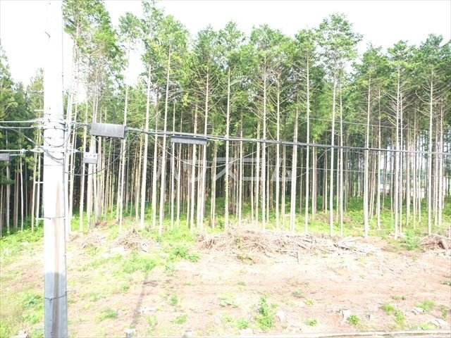 19/24 その他画像