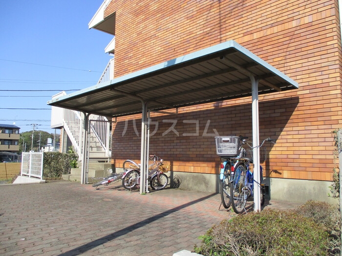 15/19 その他画像