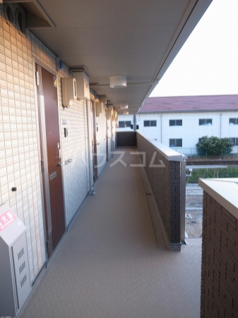 16/19 その他画像