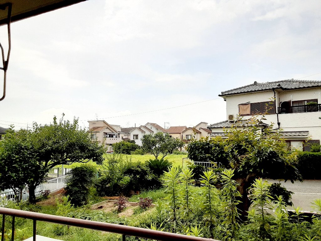 16/30 その他画像