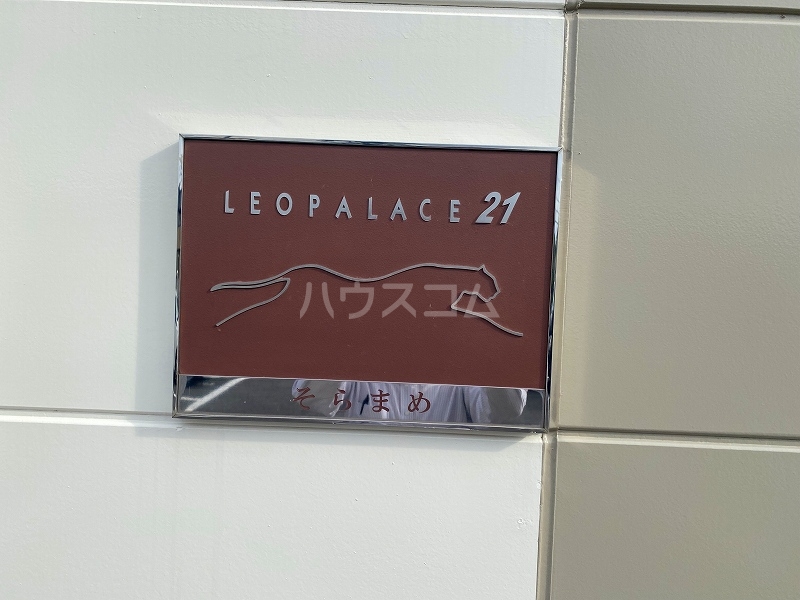 16/19 その他画像