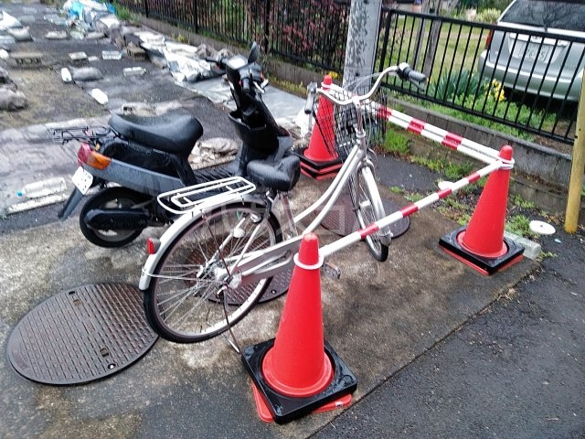 20/30 その他画像