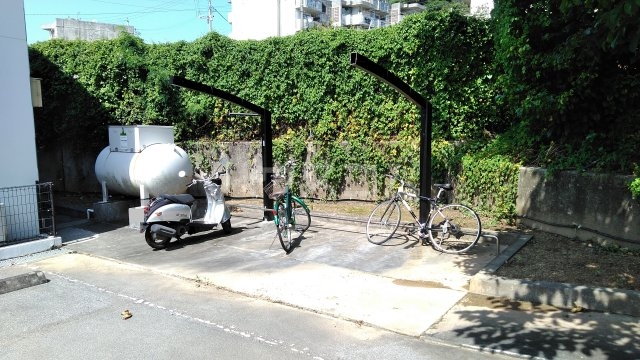 11/15 その他画像