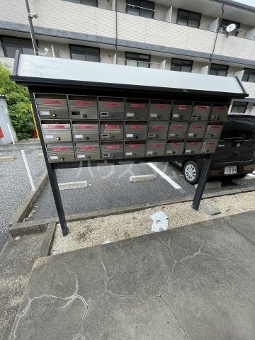 20/30 その他画像