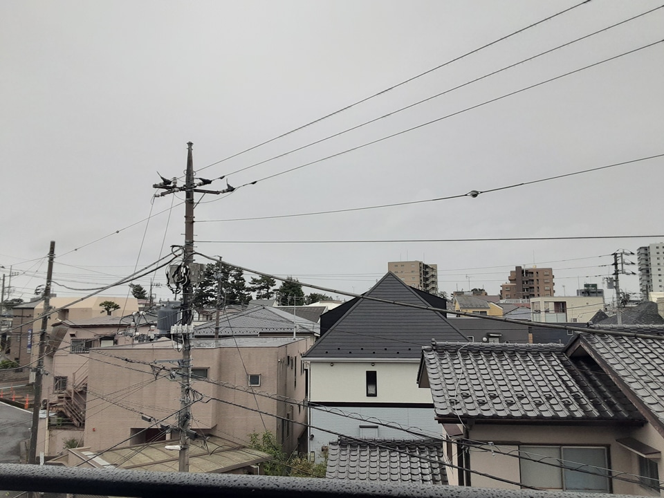 14/24 その他画像