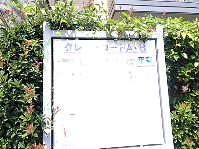 19/26 その他画像