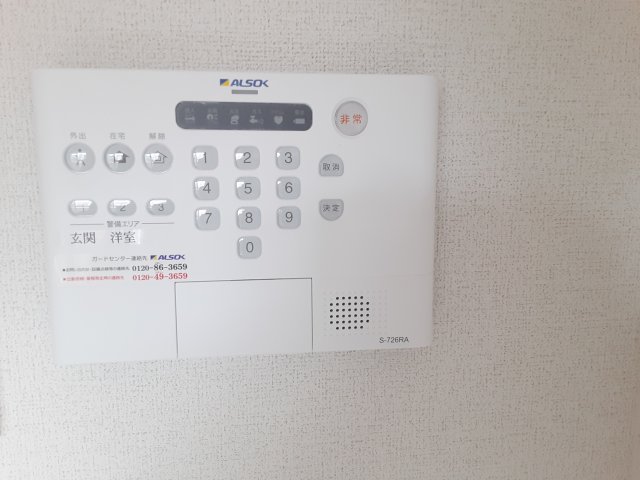 20/30 その他画像