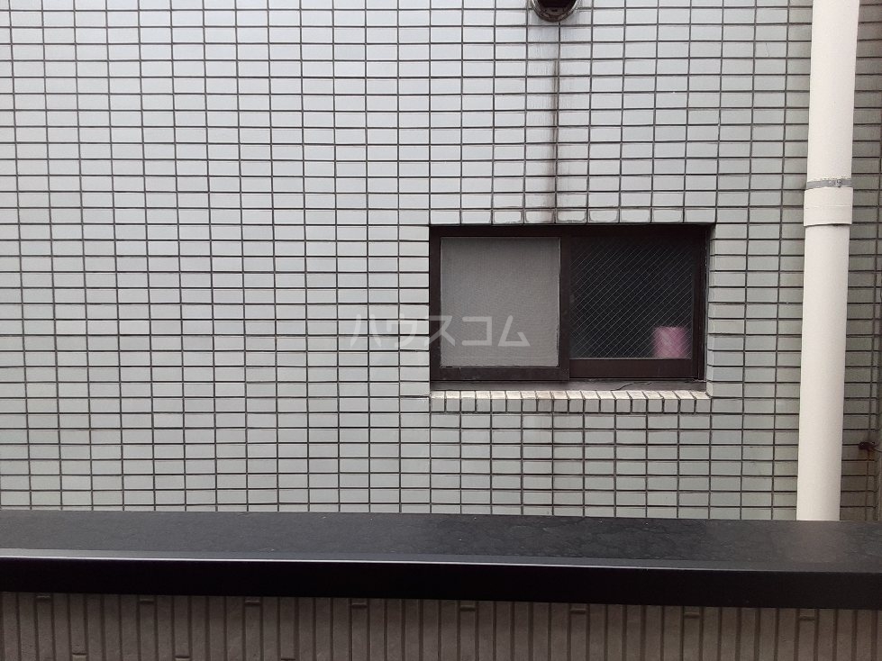 15/19 その他画像