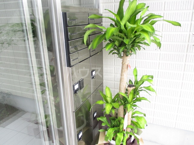 24/30 エントランス