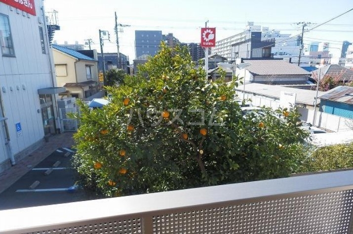 19/24 その他画像