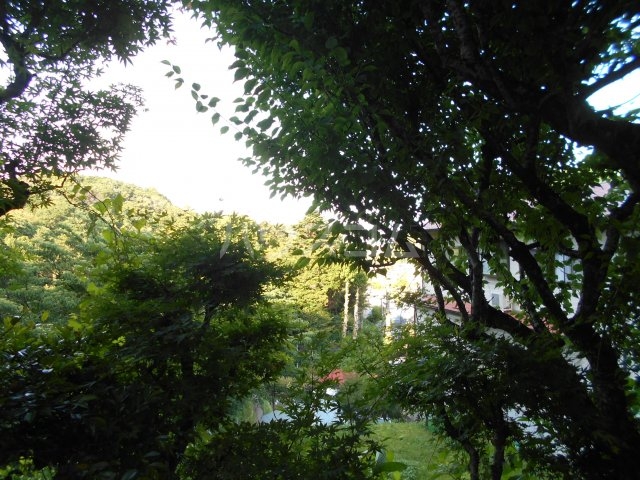 20/27 その他画像