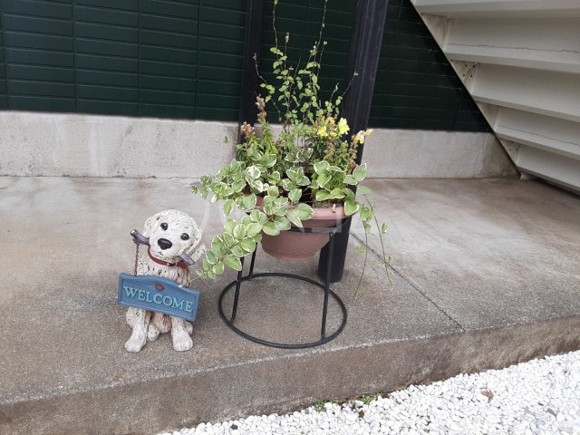 17/24 その他画像