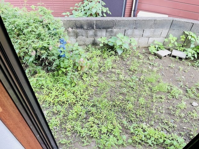 21/29 その他画像