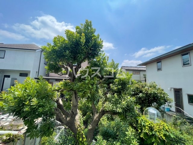 21/30 その他画像