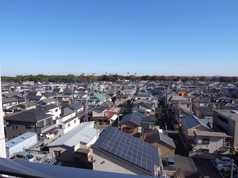 20/30 その他画像