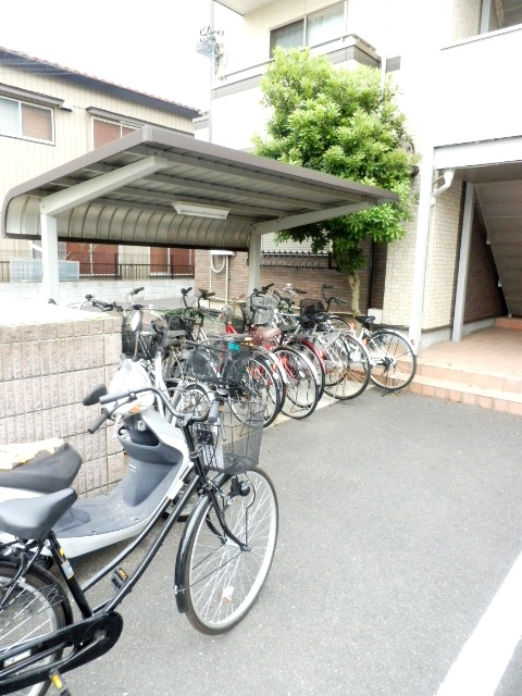 20/30 その他画像