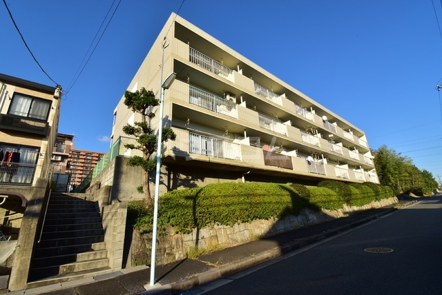 13/18 その他画像